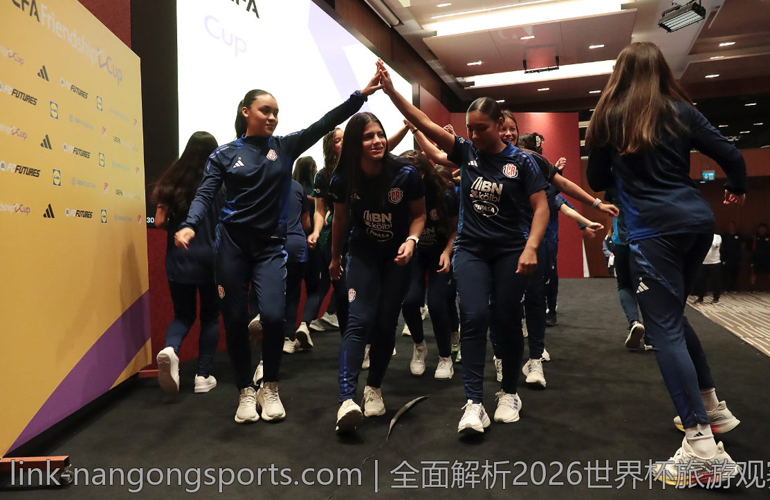 全面解析2026世界杯旅游观赛必备攻略与实用技巧